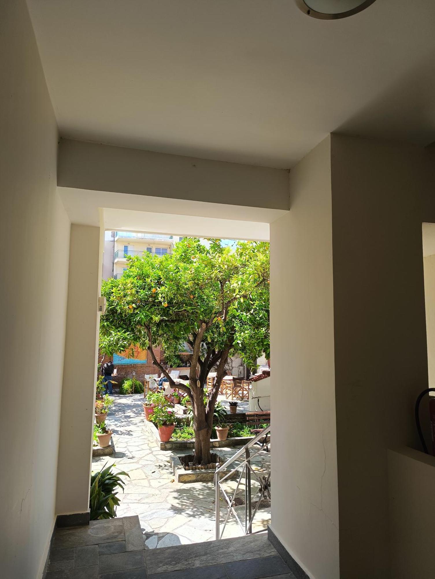 Anesis Hotel Loutra Edipsou  Ngoại thất bức ảnh